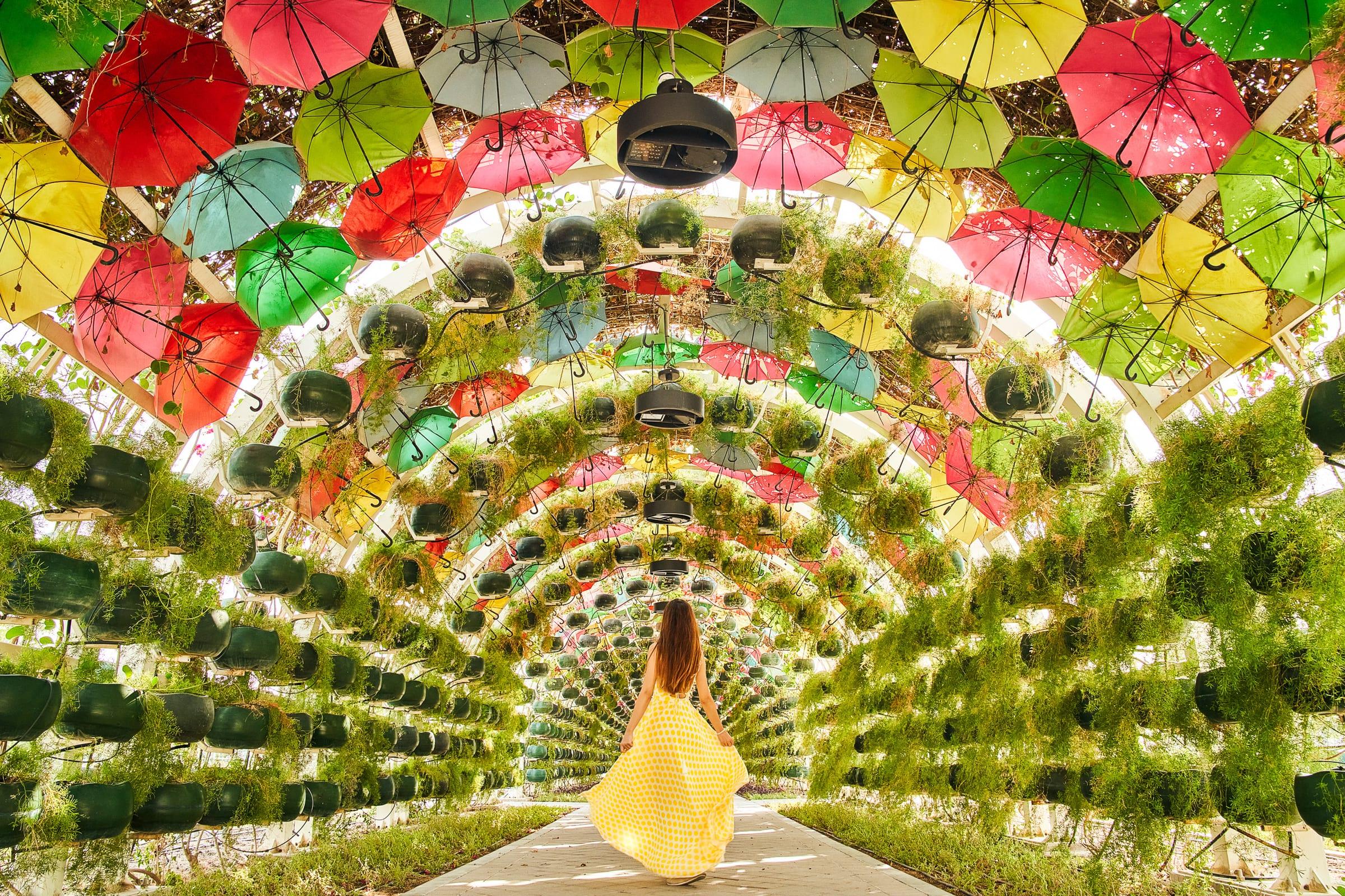 The colourful umbrella walkway along Qatar's Corniche